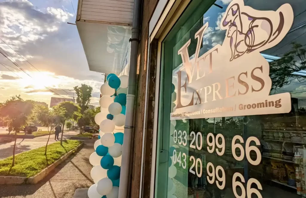 exterior-2_vetexpress